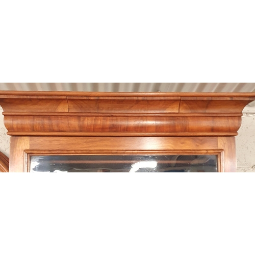 174 - A good late 19th early 20th Century Walnut  Cabinet with single door. W60 x D19 x H132cm approx.