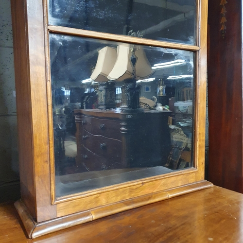 174 - A good late 19th early 20th Century Walnut  Cabinet with single door. W60 x D19 x H132cm approx.