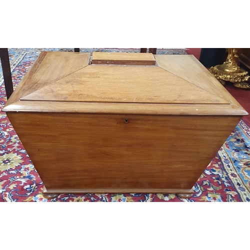 293 - A Mahogany Cellarette of sarcophagus form on bun feet, the interior with lead lined compartment for ... 