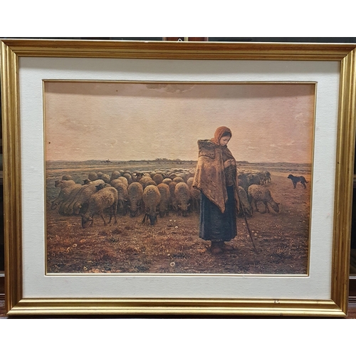 281 - Two large coloured Prints along with another.
 H 70 x 90  cm approx.