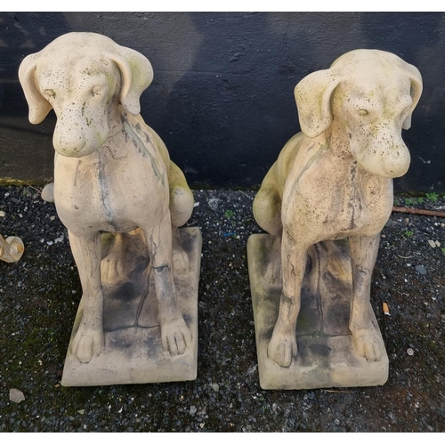 288 - A apir of reconstituted Stone Hounds/Dogs.