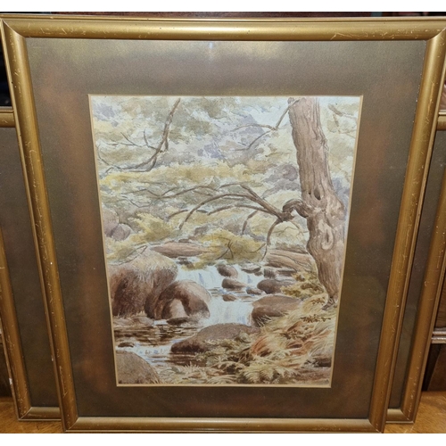 296 - A very good set of four 19th Century Watercolours. No apparent signature. In original slipped frames... 