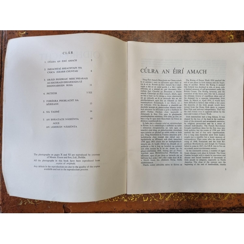 298 - Oidhreacht 1916 - 1966.