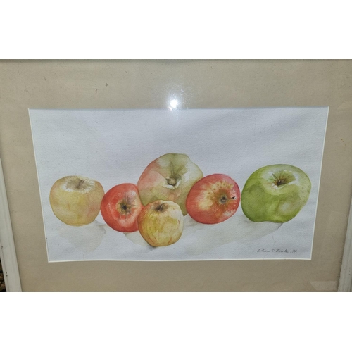 360 - A 20th Century Watercolour still life of Apples signed Callum O'Rourke and dated 97 lower right. 26 ... 