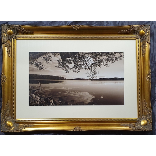 844 - A Really Good Ornate Gilt Picture Frame with Mounted Monochrome Photography Images  . 
Height 66 x 9... 