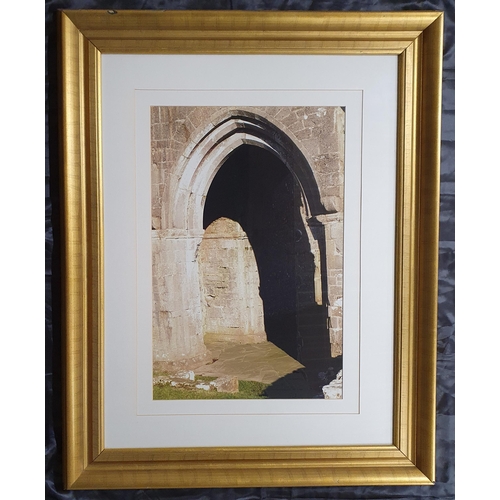 866 - A Really Good Gilt Picture Frame with Mounted Photography Images . 
Height 96 x 77 cm approx.