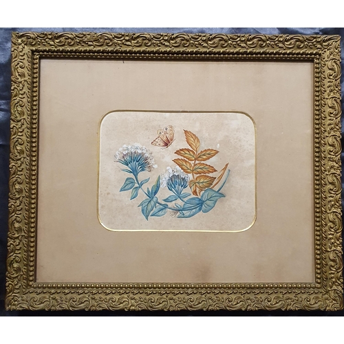 5 - A pair of 19th Century still life of flowers with butterflies. No apparent signature. In good gilt f... 