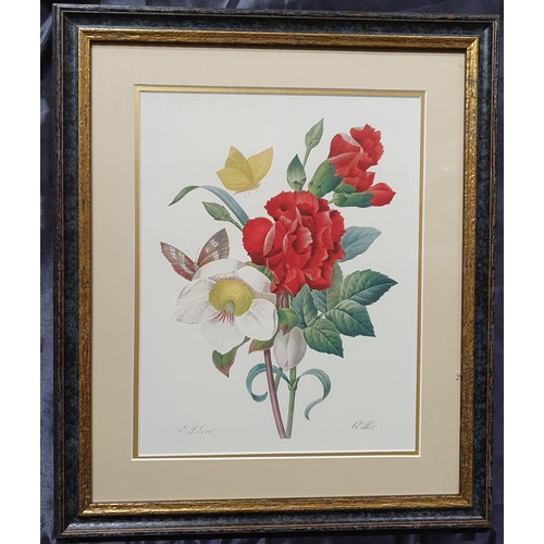 19 - A fabulous set of six Still Life colour Engravings of flowers in really good frames. 51 x 43 cm appr... 