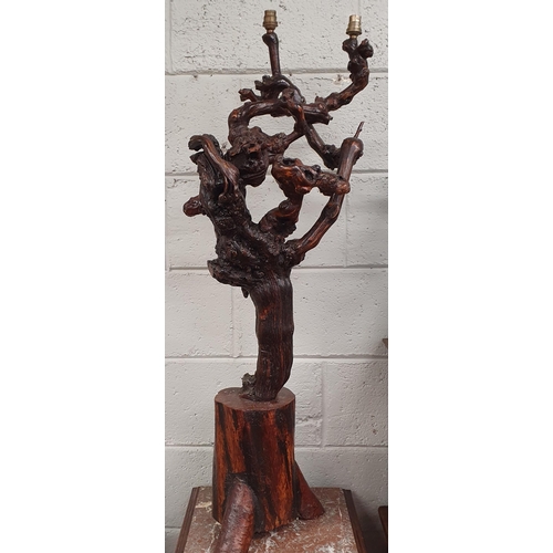 130 - A very unusual Timber Table Lamp made from the knot of a tree. H 110 cm approx.