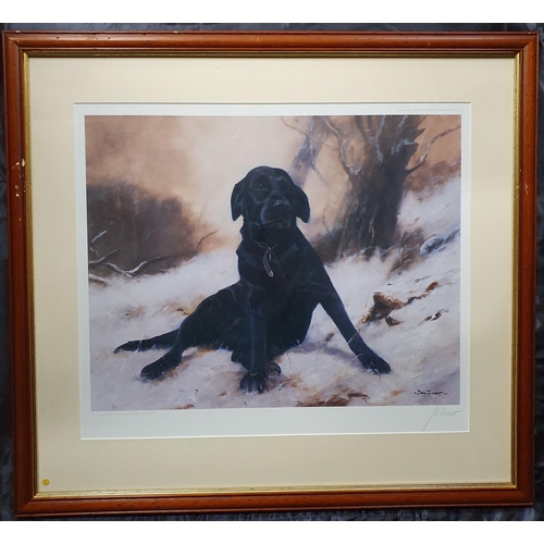 135 - After John Tucket. A black Labrador in a snowy setting. A limited edition coloured Print. Signed in ... 