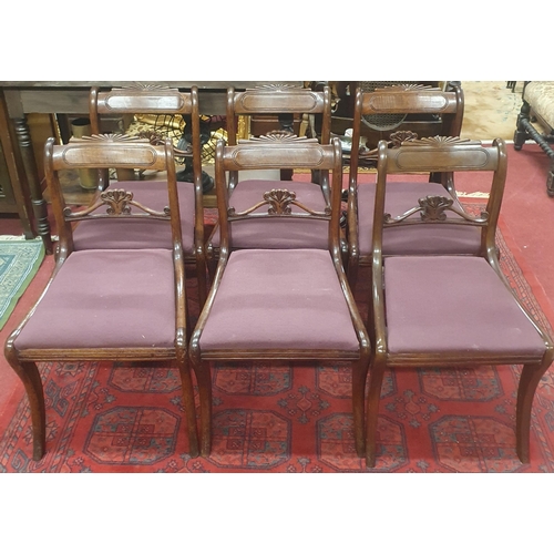 296 - A really good set of six Regency Mahogany Dining Chairs with highly carved pierced backs and sabre f... 