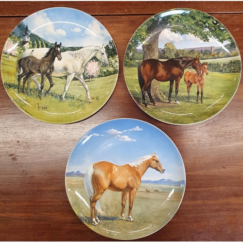 386 - A quantity of Spode Collectors Plates of horses. D 21.5 cm approx.