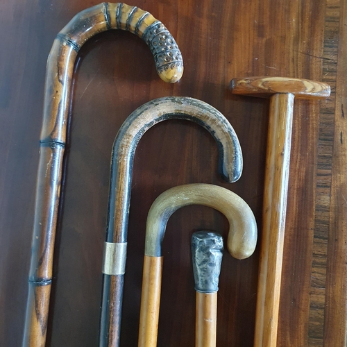 562 - A good quantity of vintage Walking Sticks.