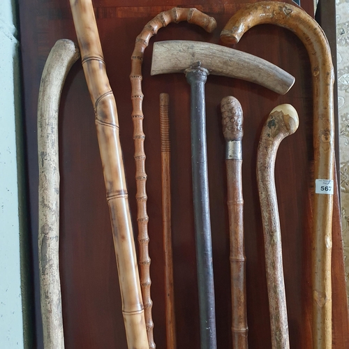 567 - A good quantity of vintage Walking Sticks and Staffs.