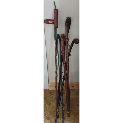 579 - A quantity of vintage Walking Sticks etc.