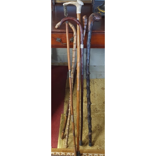 585 - A quantity of vintage Walking Sticks. One with a silver ferrule.