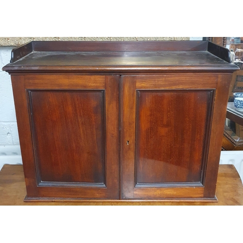 833 - A lovely early 19th Century Mahogany wall mounted two door Medicine Cabinet with concave centre shel... 