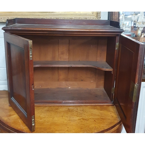 833 - A lovely early 19th Century Mahogany wall mounted two door Medicine Cabinet with concave centre shel... 