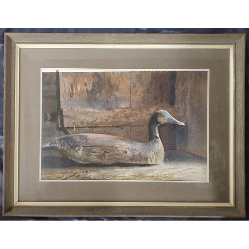 839 - A late 19th early 20th Century Watercolour of a Duck, no apparent signature. 40 x 60 cm approx.