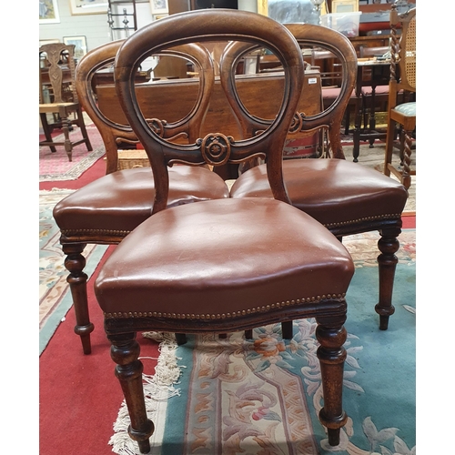 1099 - Four Victorian Mahogany Balloon back Dining Chairs. W 47 x SH 45 x BH 90 cm approx.