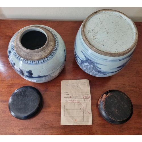 113 - A good near pair of early Chinese ginger Pots with timber Lids in blue ground. H 16 cm approx.