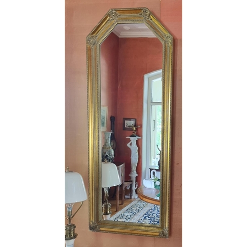 24 - A modern Gilt Pier Mirror.
52 x 134 cm approx.