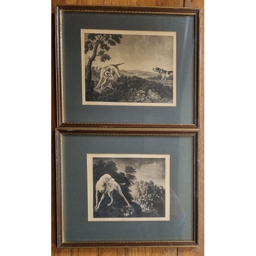8 - A good set of five 19th Century Prints of hunting dogs. 26 x 30 cm approx.