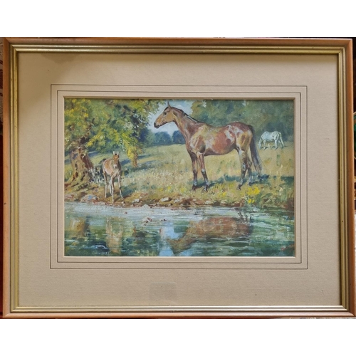 125 - Michael Lyne (1912-1989) - Horse and Foal by A Stream, gouache on paper, signed lower right, 23 x 33... 