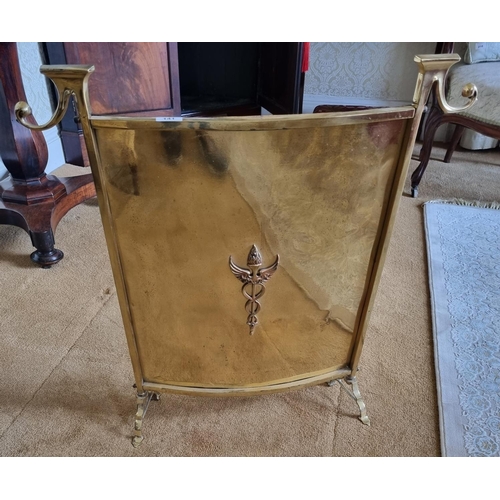 141 - An Art Nouveau Brass Spark Guard. 62 x 62 cm approx.