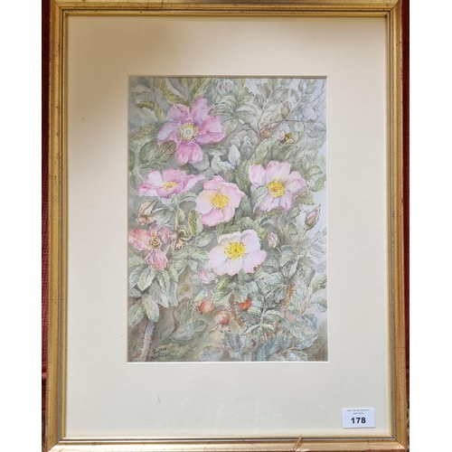 178 - 'Dog Roses'. A 20th Century Watercolour by Phyllis Nicholson. Signed LL. 31 x 21 cm approx.