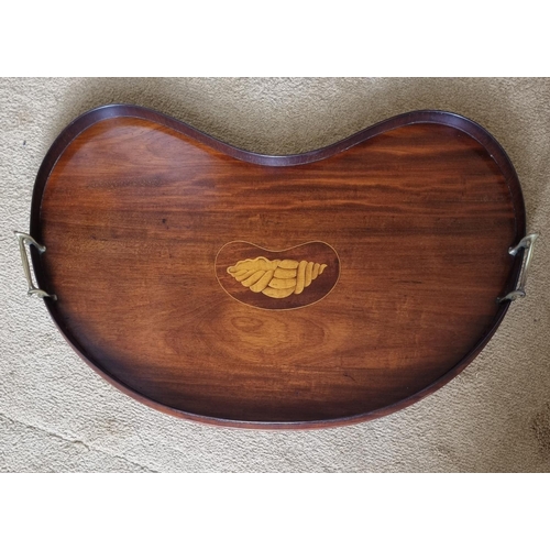 195 - An Edwardian Mahogany and Inlaid Kidney shaped Tray. 60 x 40 cm approx.