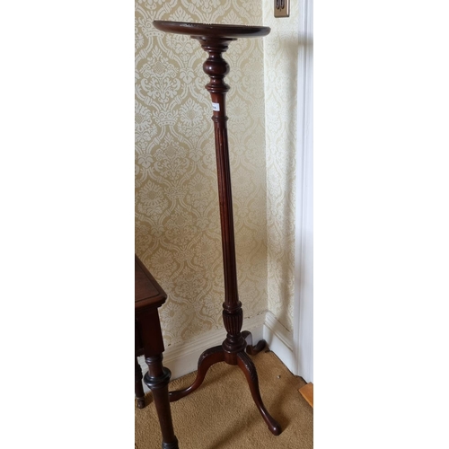 205 - A 19th early 20th Century Mahogany Plant Stand on carved tripod supports and fluted and reeded turne... 