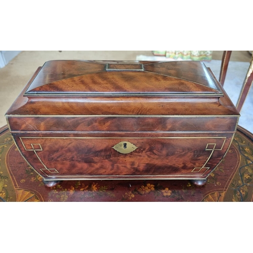 213 - A Magnificent early Regency Mahogany Campaign Tea Caddy of sarcophagus form with brass inlaid corner... 