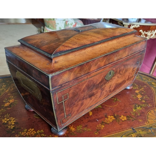 213 - A Magnificent early Regency Mahogany Campaign Tea Caddy of sarcophagus form with brass inlaid corner... 