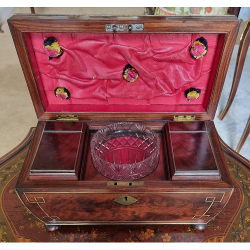 213 - A Magnificent early Regency Mahogany Campaign Tea Caddy of sarcophagus form with brass inlaid corner... 