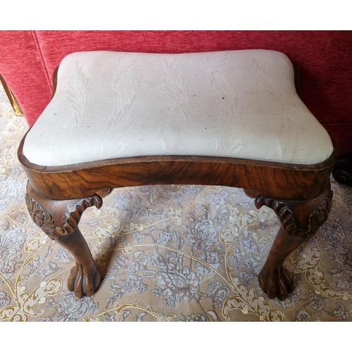 215 - A 19th Century Irish Footstool with hairy paw feet and concave outline. W 52 x 36 x H 44 cm approx.