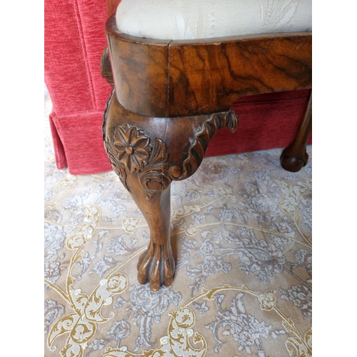 215 - A 19th Century Irish Footstool with hairy paw feet and concave outline. W 52 x 36 x H 44 cm approx.