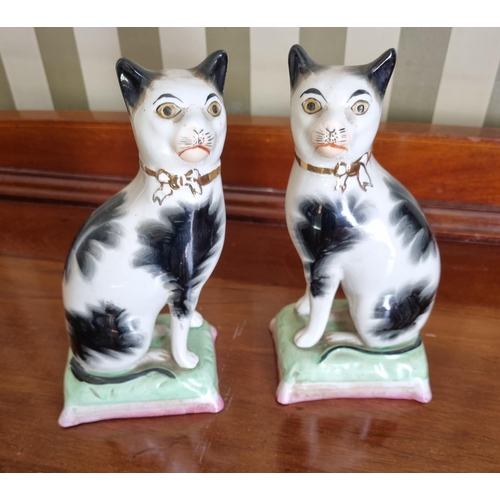 239 - A pair of 19th Century Staffordshire Figures of Cats. One with slight damage. H 18 cm approx.