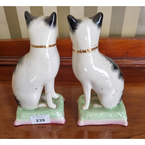 239 - A pair of 19th Century Staffordshire Figures of Cats. One with slight damage. H 18 cm approx.