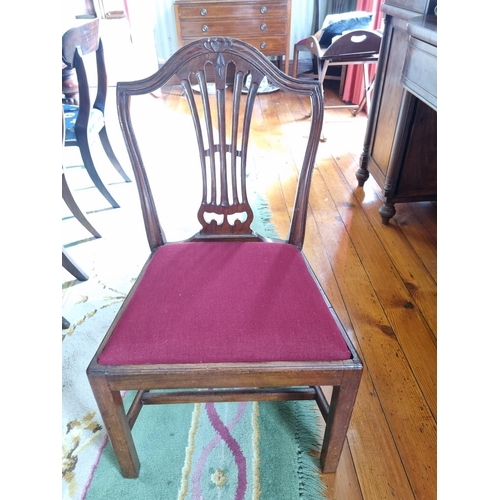 253 - A pair of 19th Century Hepplewhite style Chairs with fluted ribbed backs and square supports with st... 