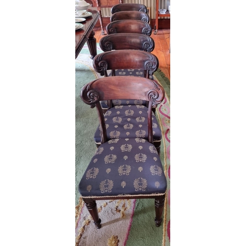 293 - A fine set of 19th Century Mahogany bar back Dining Chairs with carved backs on turned and hexagonal... 