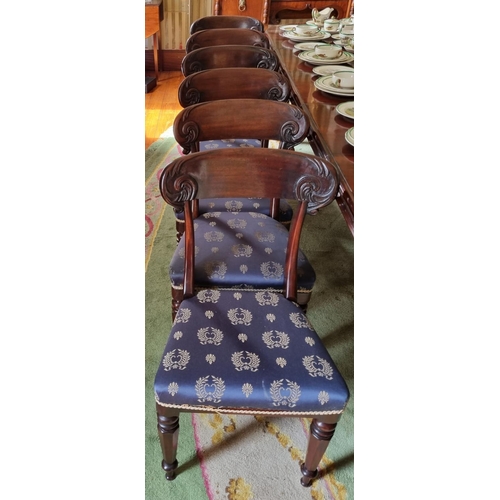 293 - A fine set of 19th Century Mahogany bar back Dining Chairs with carved backs on turned and hexagonal... 