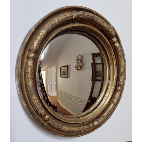 304 - A lovely Regency Mahogany Convex Mirror of circular form.  D 35.5 cm approx.