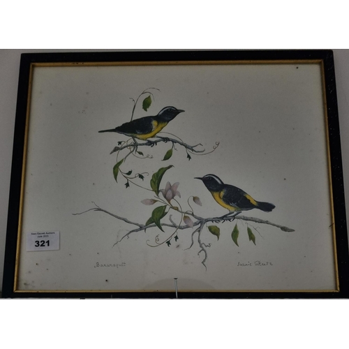 321 - A Watercolour of two Bananaquits by Joanie Skete. 21 x 34 cm approx.