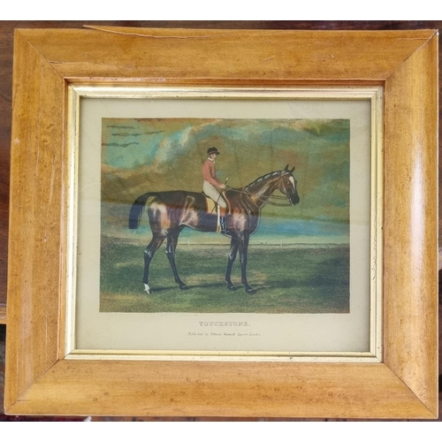 757 - A coloured Print of the Horse Touchstone in a Birdseye Maple Frame. 29 x 32cm approx.