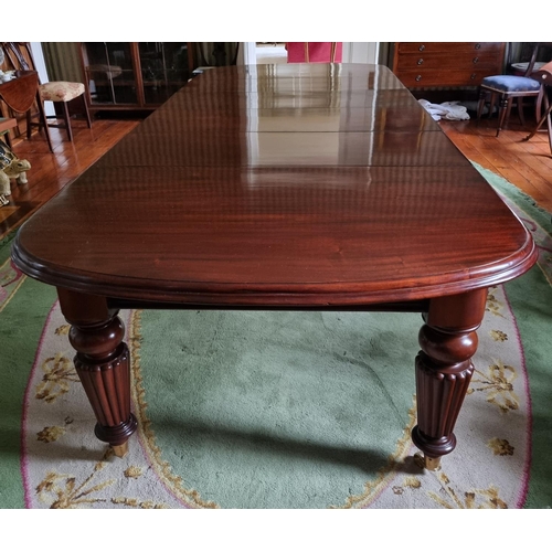 252 - A magnificent 19th Century Dining Table on substantial turned and reeded supports and moulded edge w... 