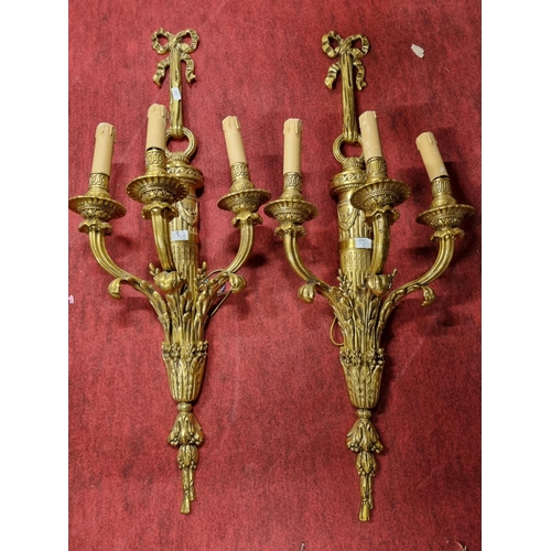 297 - A very fine set of four cast Brass Adams style tree branch wall Lights, each crested with a ribbon b... 