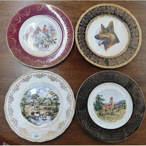 394 - A good quantity of Collectors Plates. D
 27 cm approx.