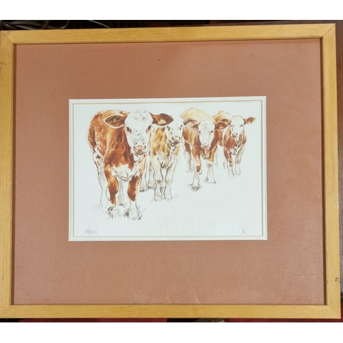 472 - Two coloured Prints of Cattle by Jen Buckley signed.