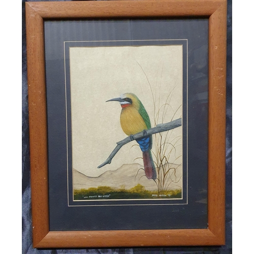 684 - David Cubbin (B 1970) 'the white fronted bee eater' and 'the plumb coloured starling' A pair of Wate... 